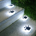 Outdoor Landscape  Solar LED Light