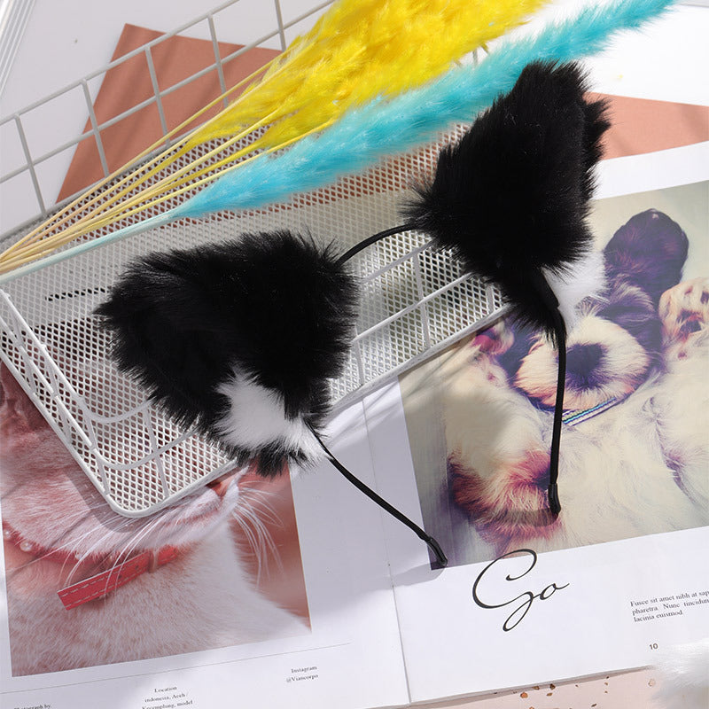 Cat Ear Band